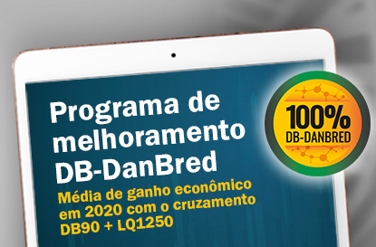 Média de ganho econômico em 2020 com o cruzamento DB90 + LQ1250