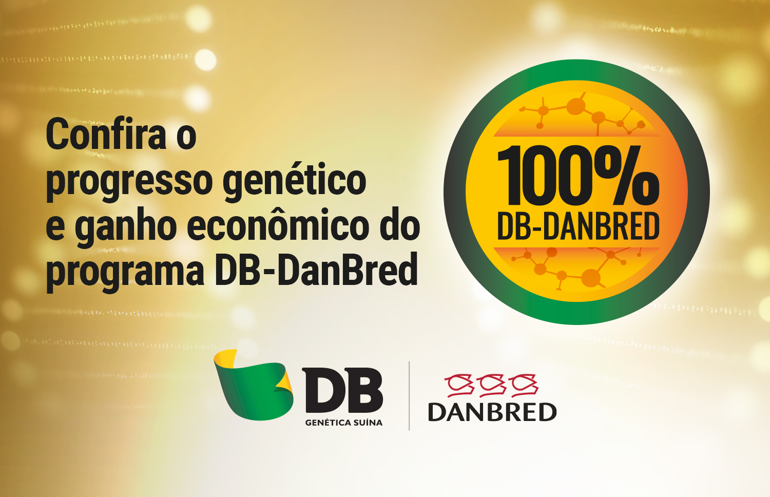 OS NÚMEROS NÃO MENTEM: SAIBA O GANHO ECONÔMICO QUE SÓ O PROGRAMA DB-DANBRED É CAPAZ DE PROPORCIONAR PARA A SUA PROPRIEDADE